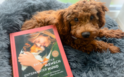 Entspannter Mensch Entspannter Hund